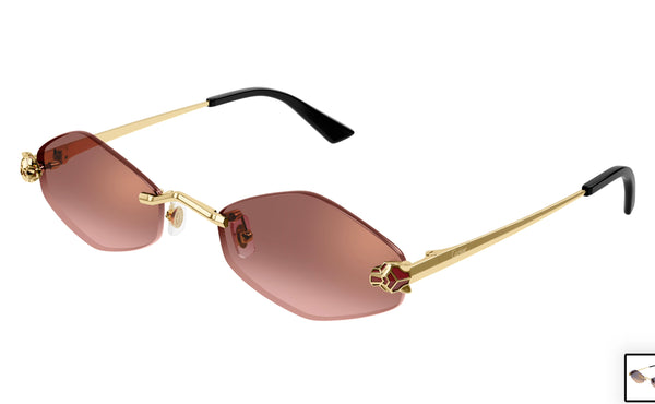 Cartier CT0433s