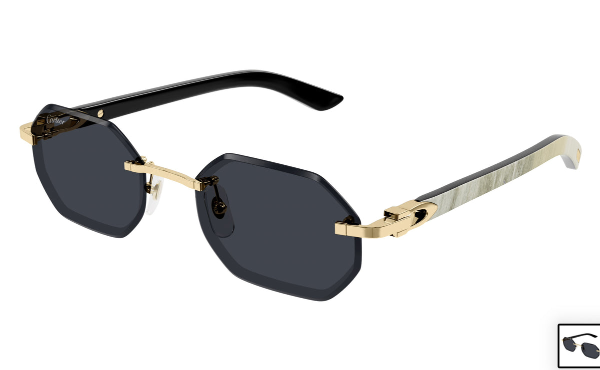 Cartier CT0439s