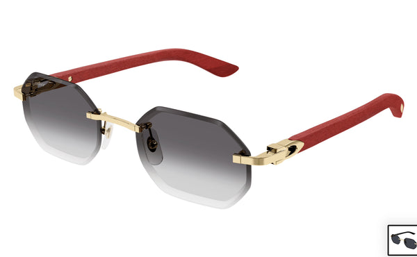 Cartier CT0439s