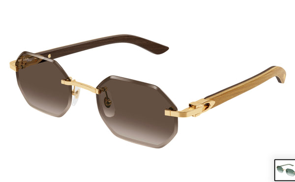 Cartier CT0439s