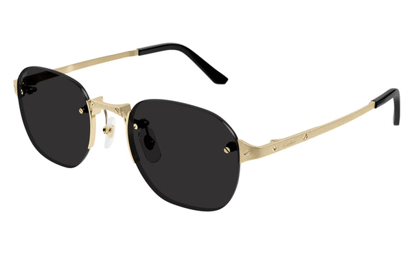 Cartier CT0459s