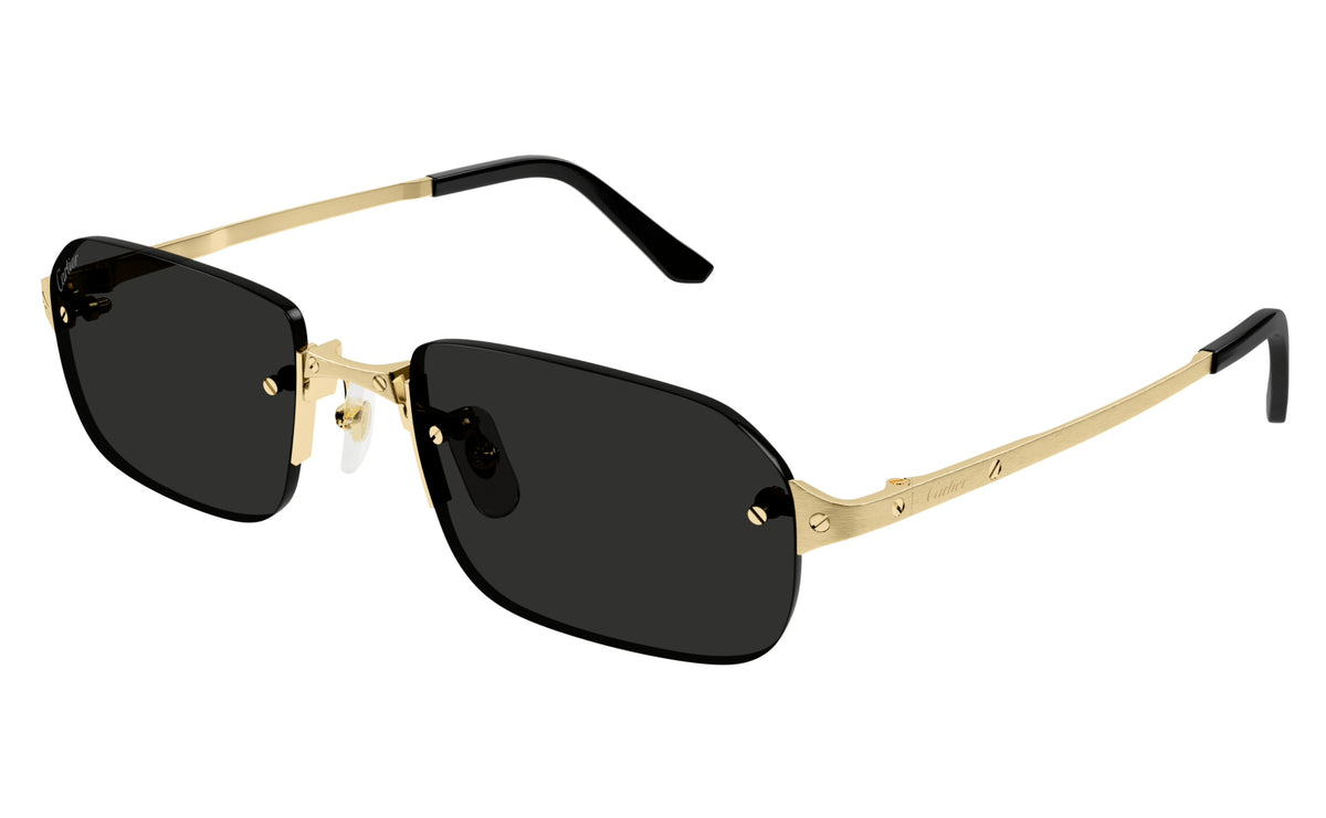 Cartier CT0460s