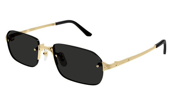 Cartier CT0460s