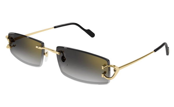 Cartier CT0465s