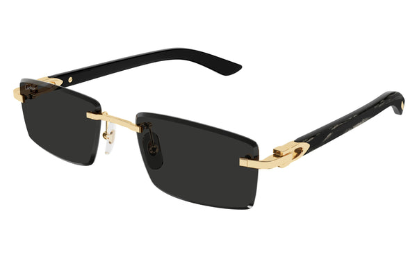 Cartier CT0582s