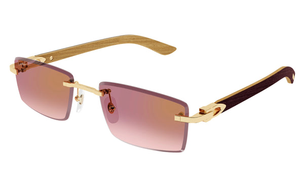 Cartier CT0582s