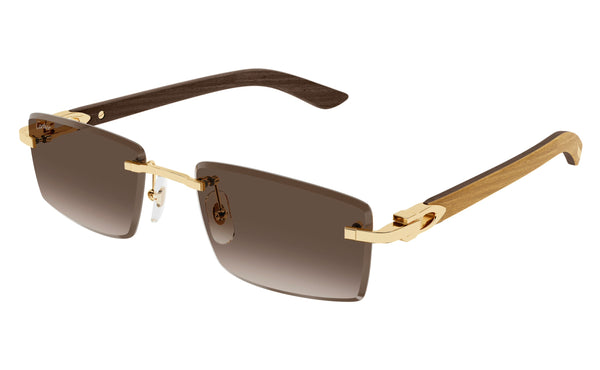 Cartier CT0582s