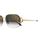 Cartier CT0468s 001
