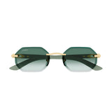 Cartier CT0439s 004 Holz / Wood