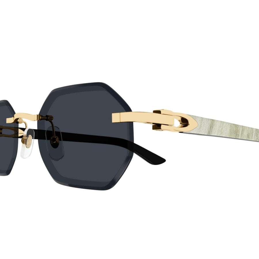Cartier CT0439s 002 Whitebuff