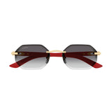 Cartier CT0439s 003 Holz / Wood
