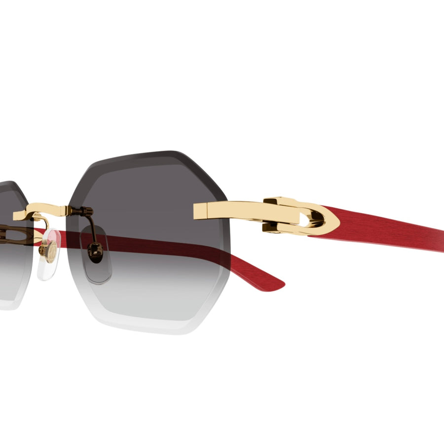 Cartier CT0439s 003 Holz / Wood