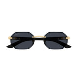 Cartier CT0439s 002 Whitebuff