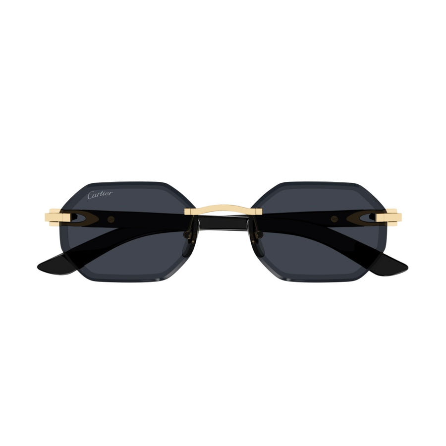 Cartier CT0439s 002 Whitebuff