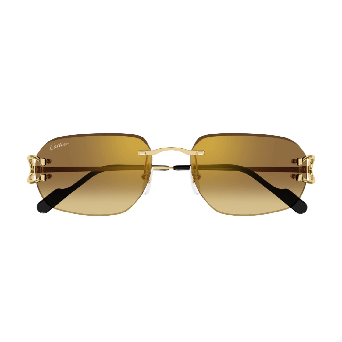 Cartier CT0468s 004