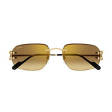 Cartier CT0468s 004