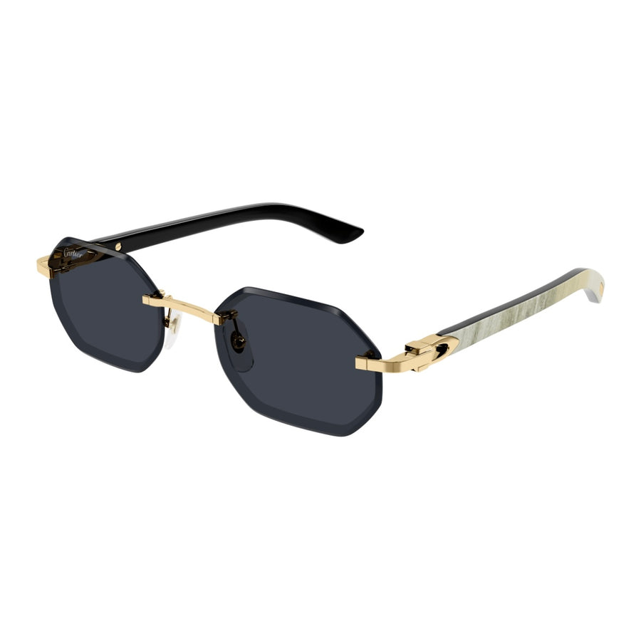 Cartier CT0439s 002 Whitebuff