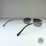 Cartier CT0281o 001, Lila Panthere Custom