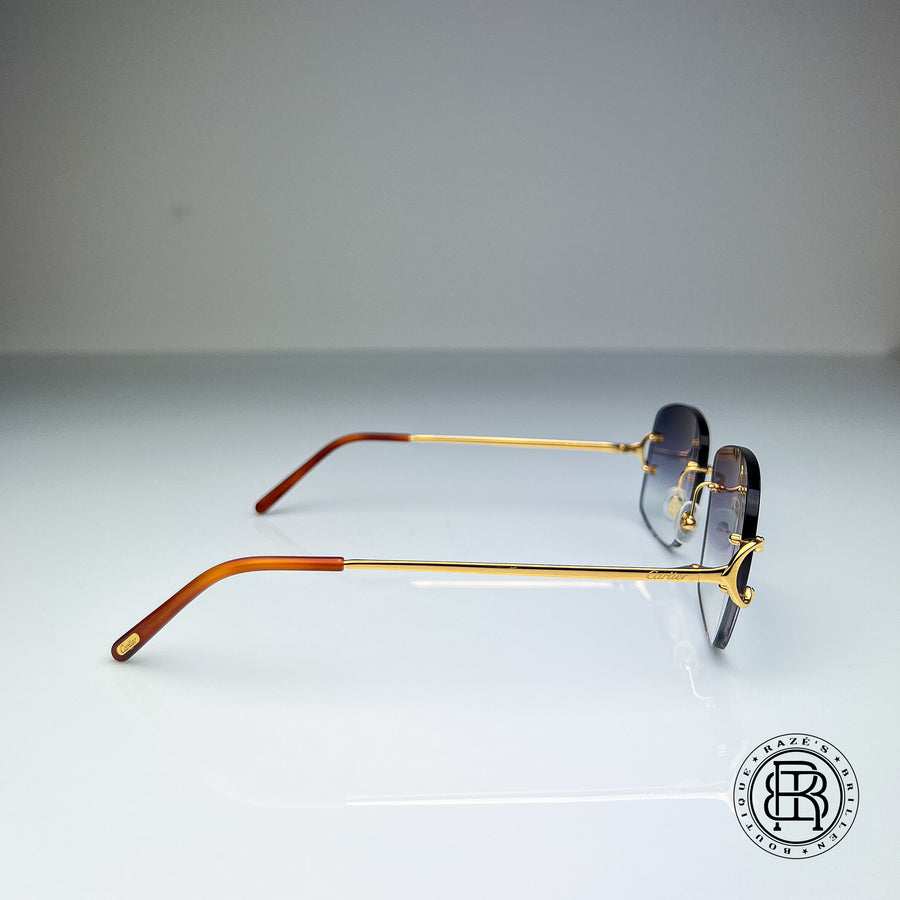 Cartier CT0092o 001 Custom (Big C)